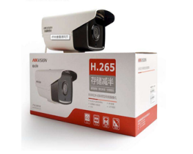 国产麻豆免费观看3T25係列戶外槍機200W